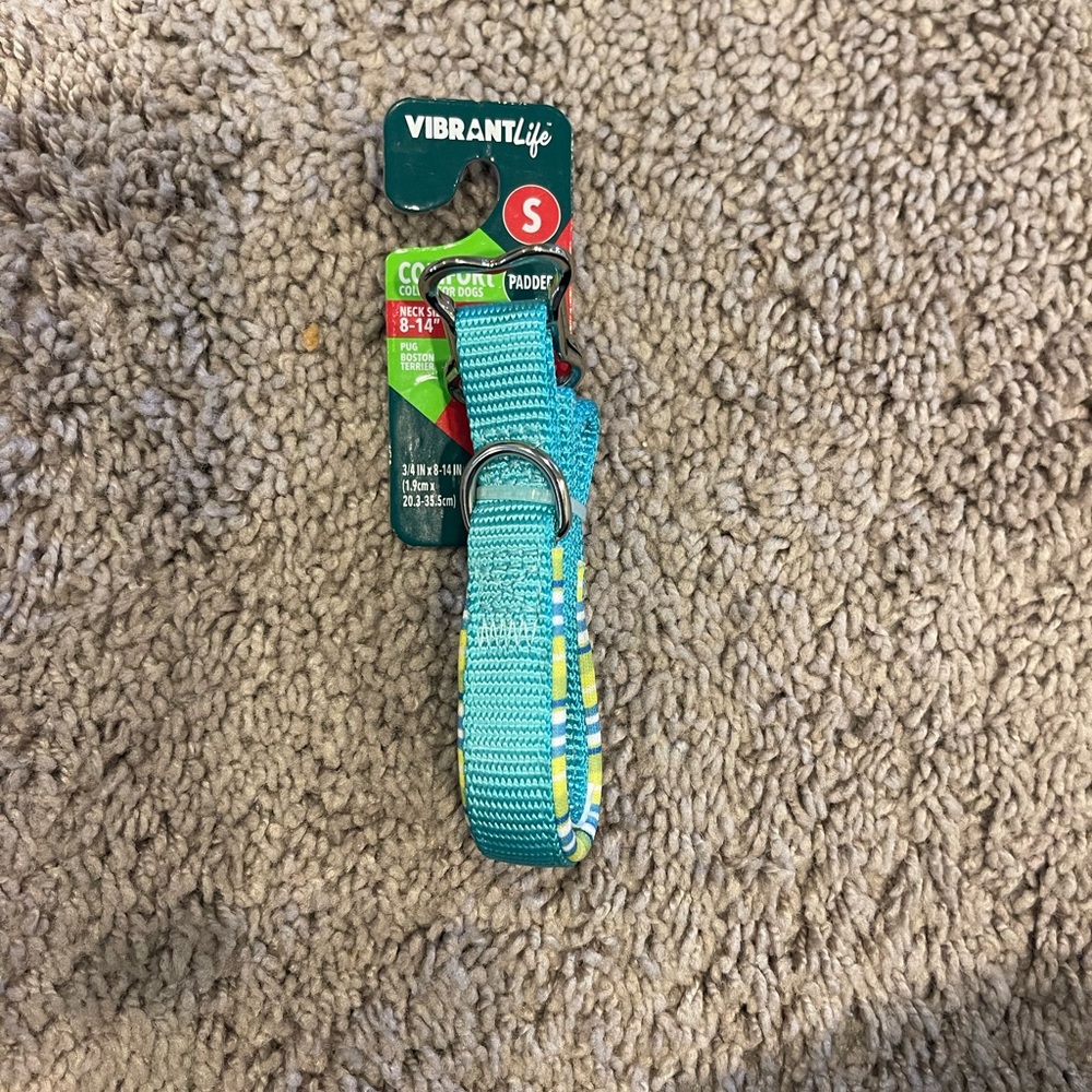 Vibrant Sporty Blue Dog Collar